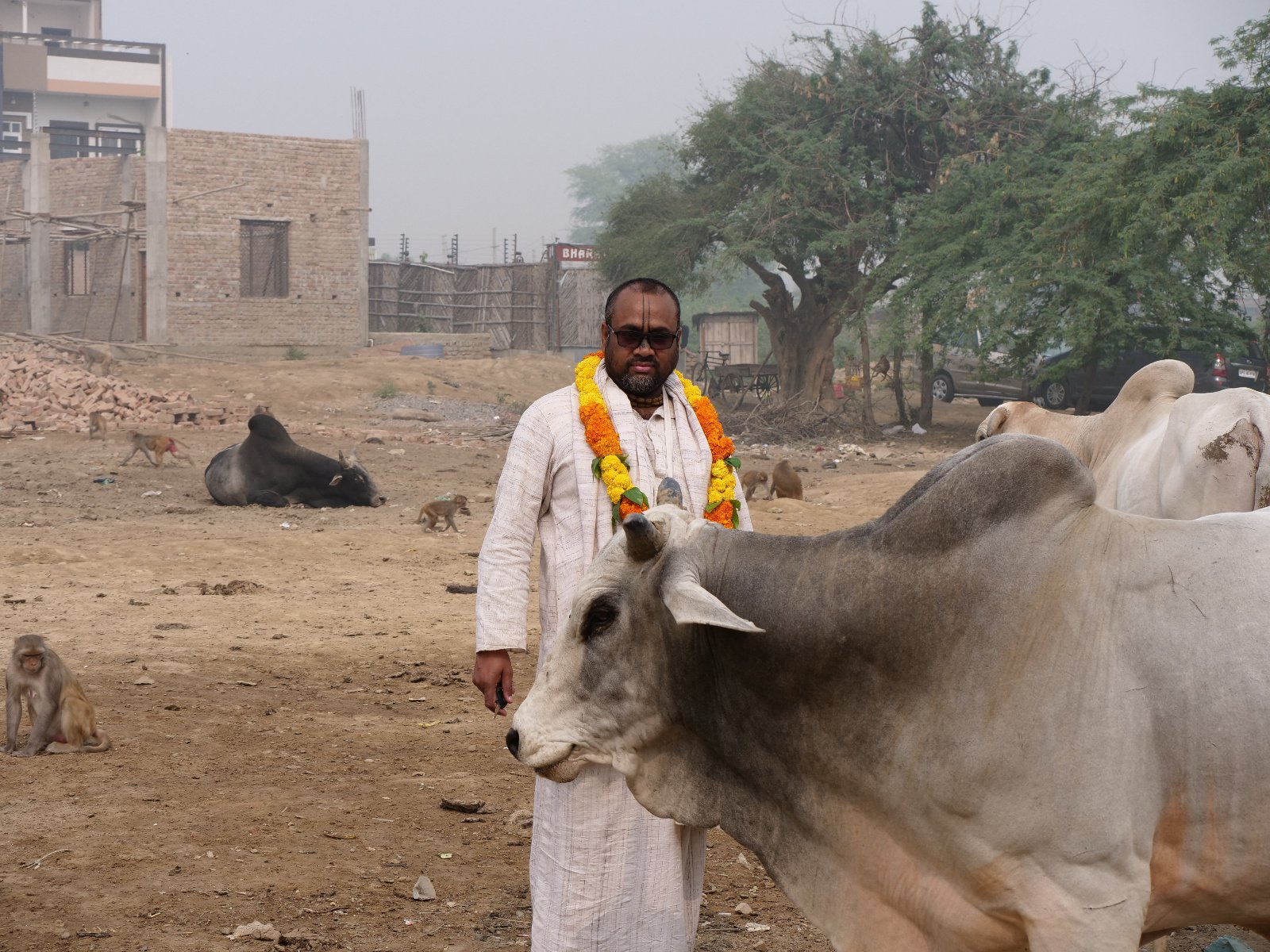  215 Gopashtami Radha kunda Govardhan 19.11.04